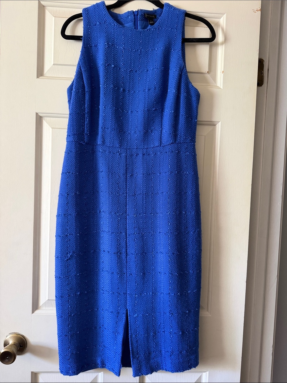 Sleeveless Textured Sheath Dress in Royal Blue